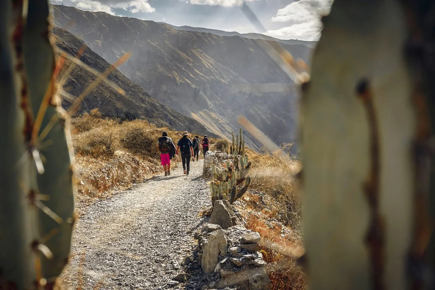 CAÑON DE COLCA 2D 1N
