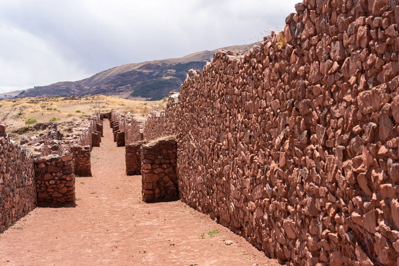 PiKiLLaQTa cEnTrO ArQuEoLoGIcO