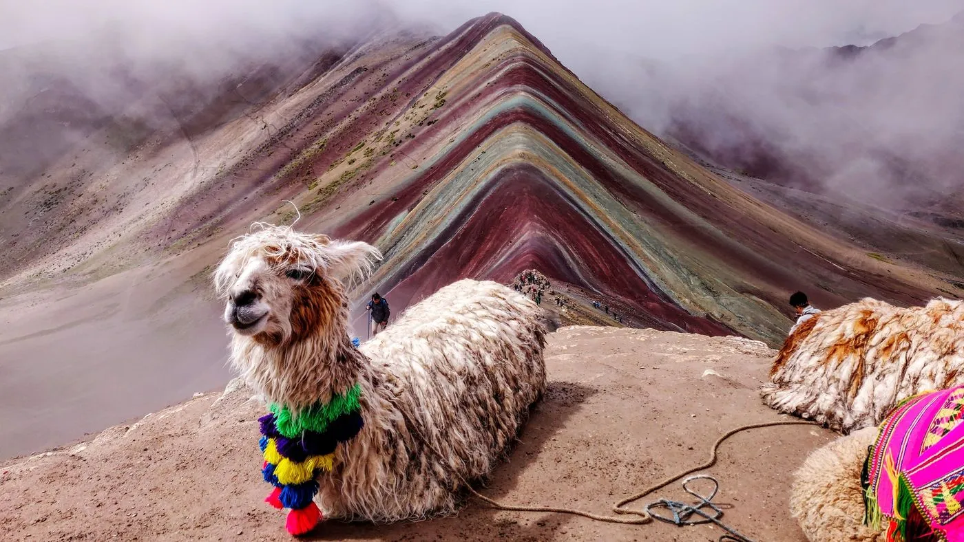 AlPaCa sEnTaDa eN uN AfLoRamiENTiO rOcOsO cOn La mOntAñA AoRcOiRiS En eL FOnDo