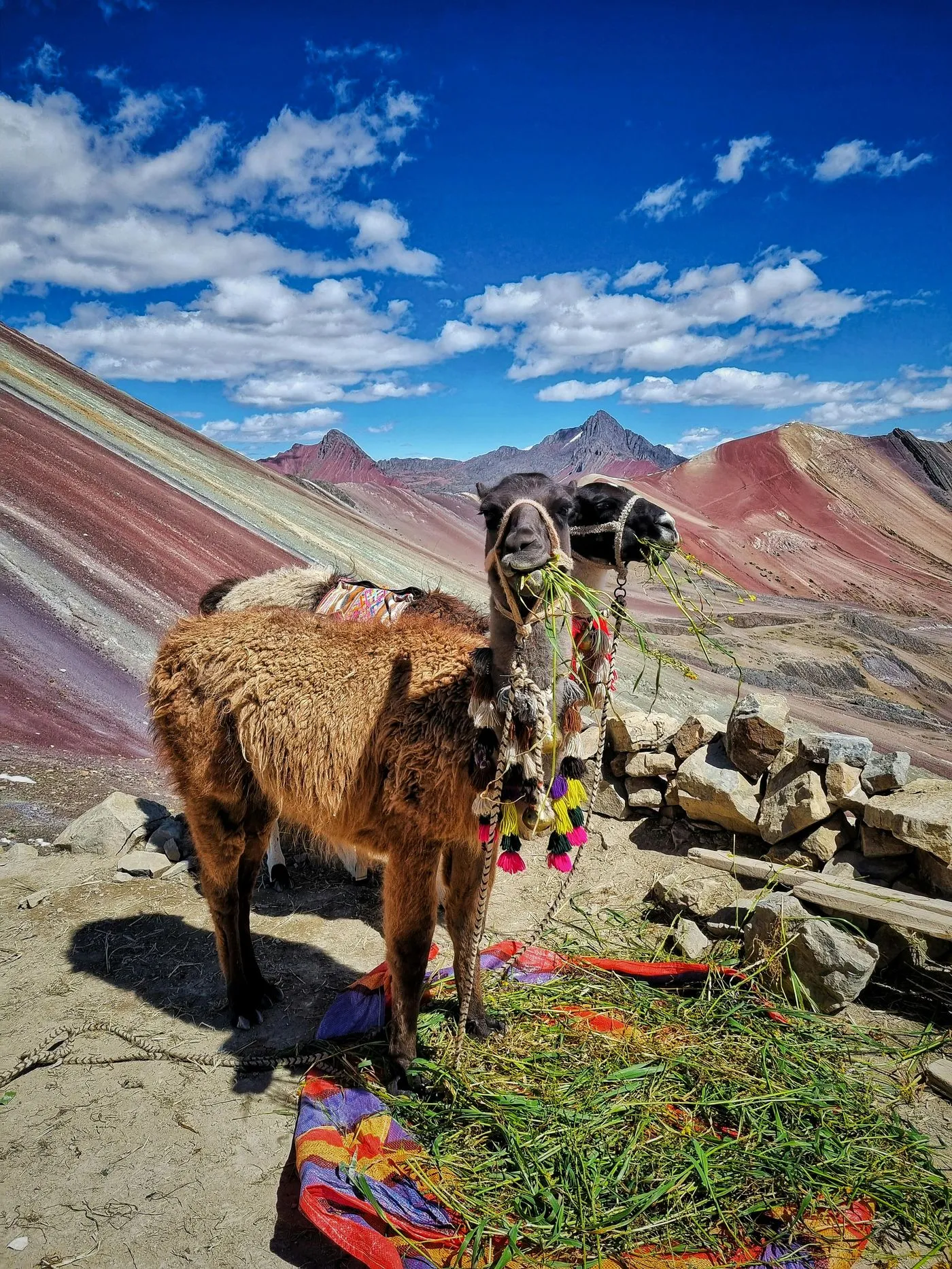 MoNtAñA De cOlOrEs