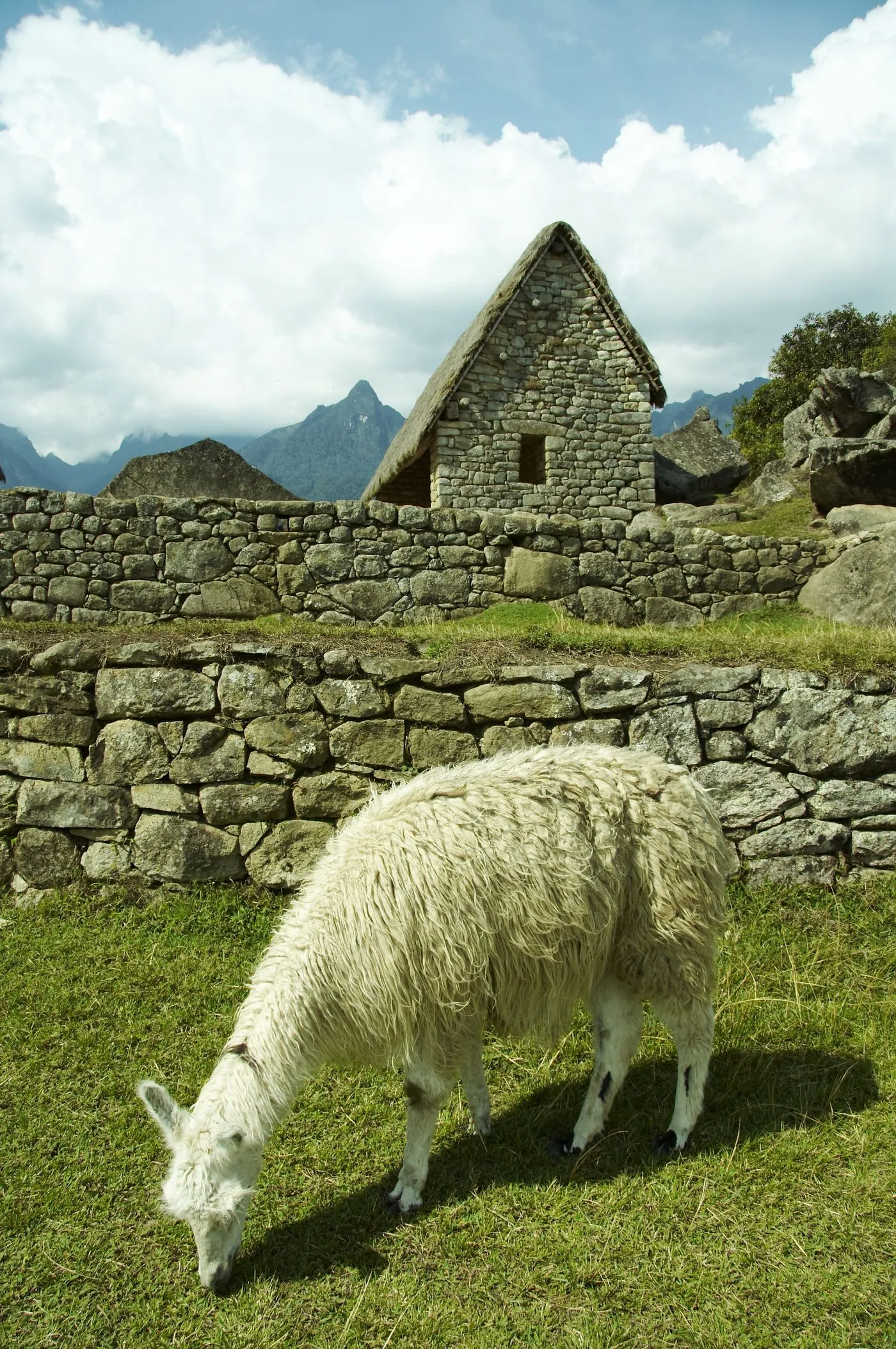 RuInAs y LlaMaS EN La cIuDaDa DeL CuScO